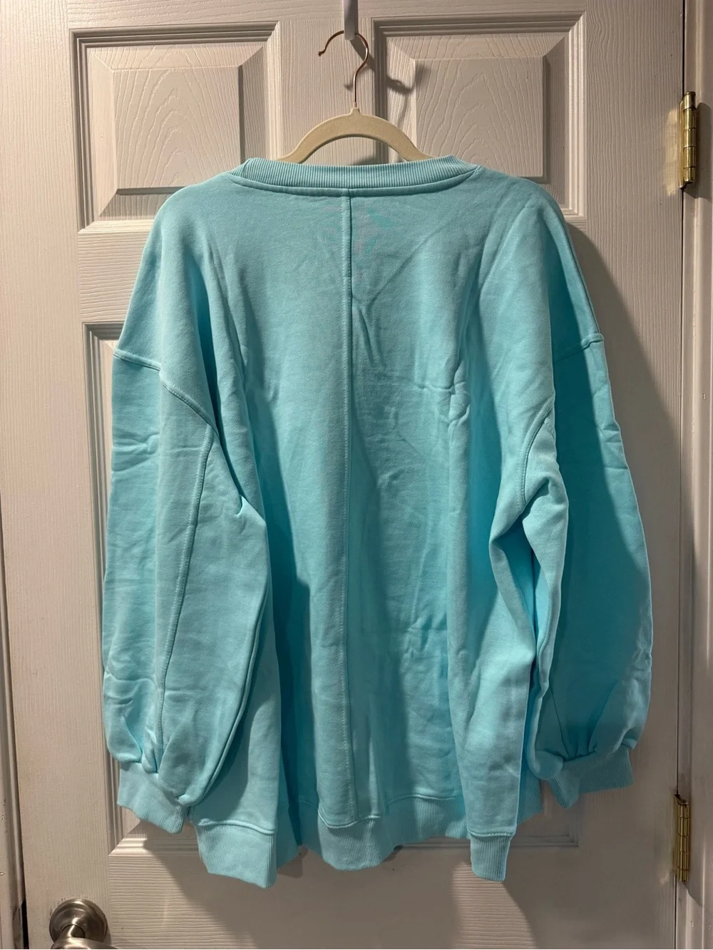 Disney Parks Lady and the Tramp Walt Disney World Embroidered Sweatshirt M(NWT)